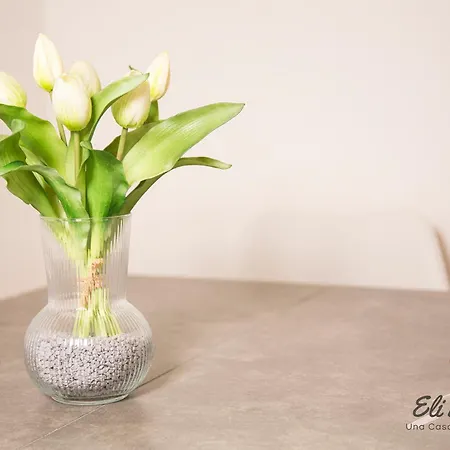 Apartment Orchidea *