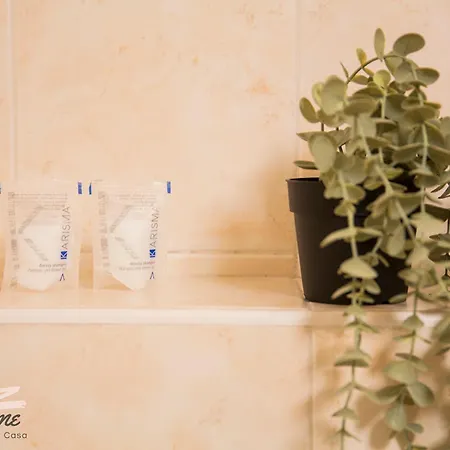 Orchidea Apartment *